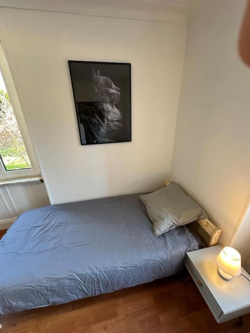 Magnifique Appartement F3. 4 A 6 Personnes Lutterbach Kültér fotó