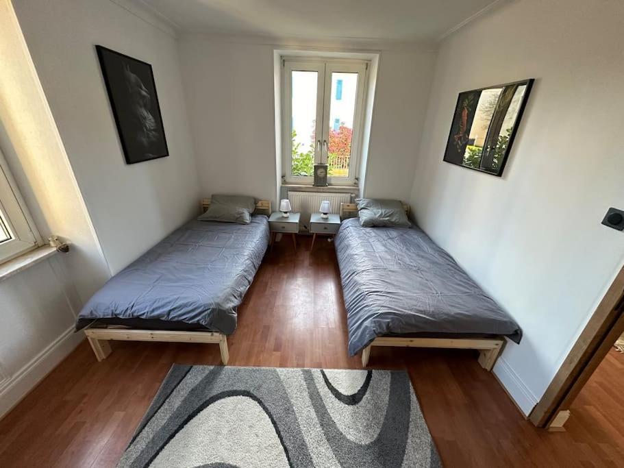 Magnifique Appartement F3. 4 A 6 Personnes Lutterbach Kültér fotó
