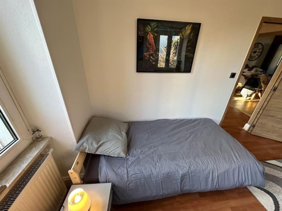 Magnifique Appartement F3. 4 A 6 Personnes Lutterbach Kültér fotó